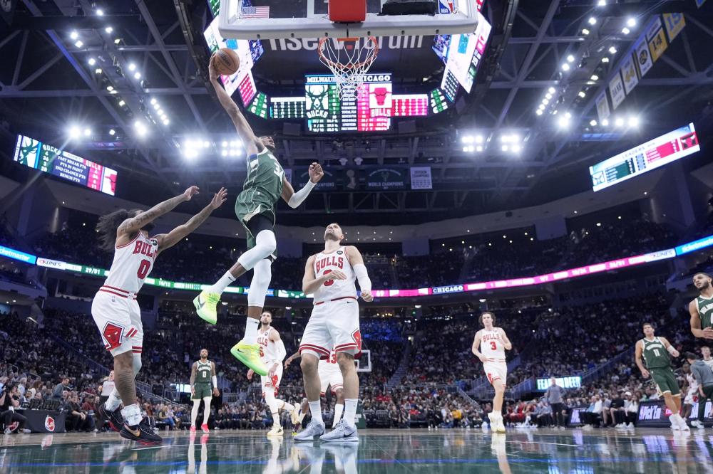 完善的职业 完善的职业