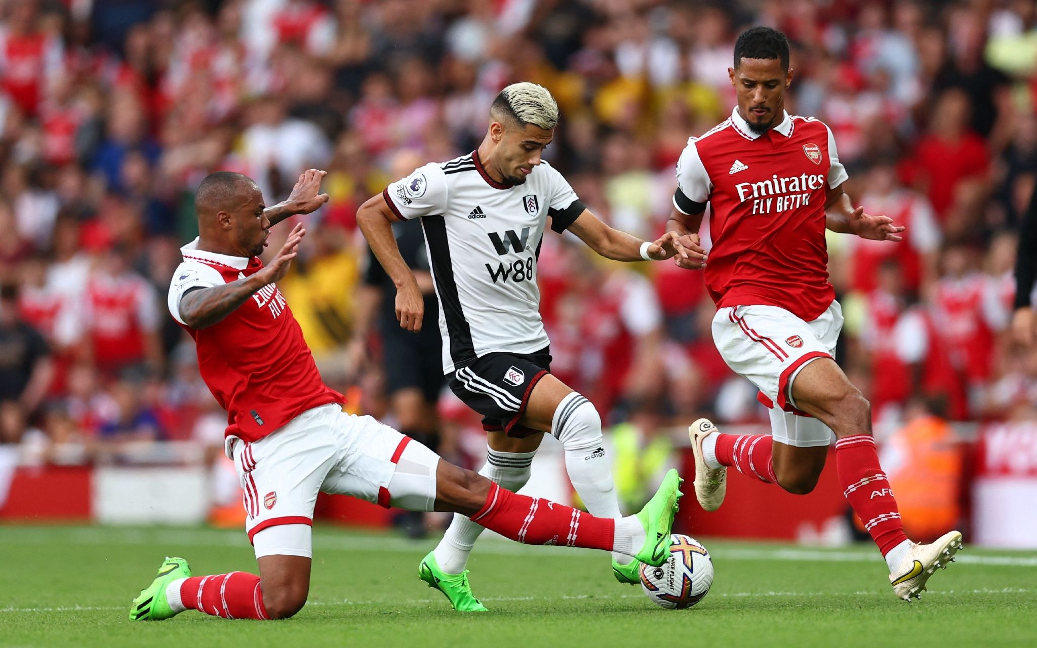 了多个绝佳 了多个绝佳