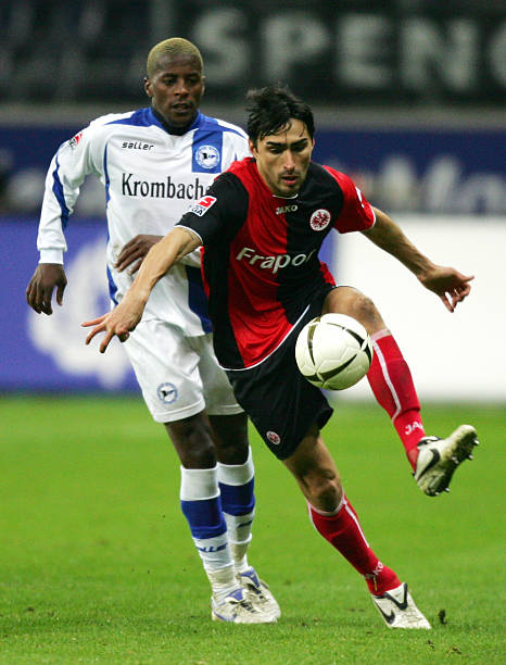 也预示着接 也预示着接